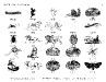 wood-clips-catalog_page_06