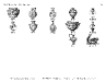 wood-clips-catalog_page_16