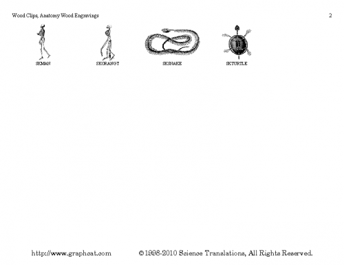 Wood Clips Catalog Page 02